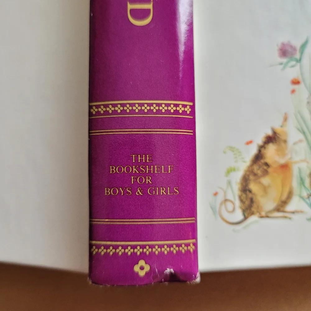 The Bookshelf for Boys & Girls vintage bookshelf